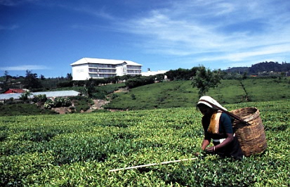 Sri Lanka